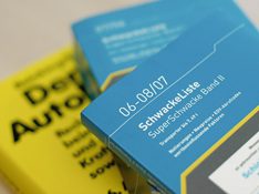 Ausgemessene Lackschichtdicke: Seitenteil wurde gespachtelt