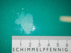 Makroaufnahmen besch�digter Lackstellen